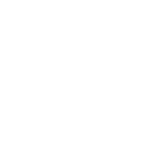 psilo logo
