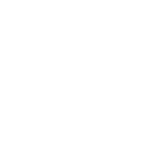 psilo logo